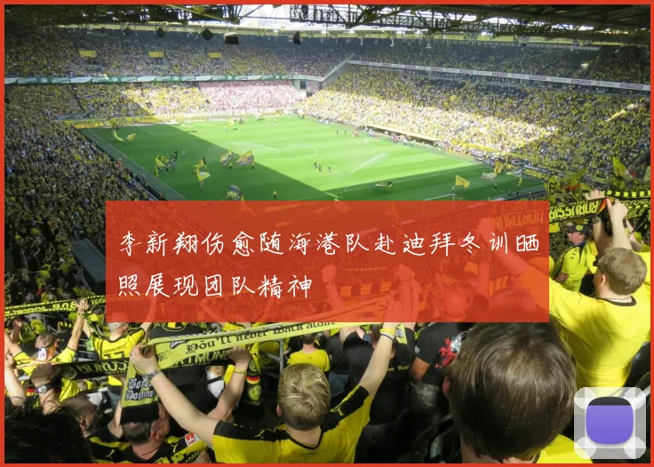 李新翔伤愈随海港队赴迪拜冬训晒照展现团队精神