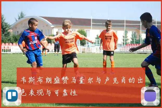 韦斯布朗盛赞马奎尔与卢克肖的出色表现与可靠性