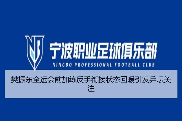 樊振东全运会前加练反手衔接状态回暖引发乒坛关注 - MilanSports